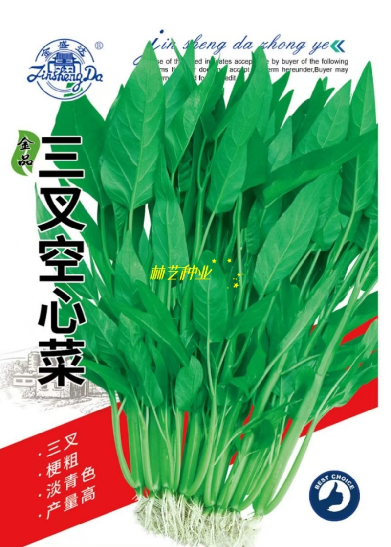 金盛达三叉空心菜种子春夏秋季播种旱地水地高产蕹菜蔬菜种籽