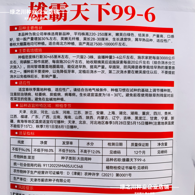 白花四季豆高产早熟菜豆
