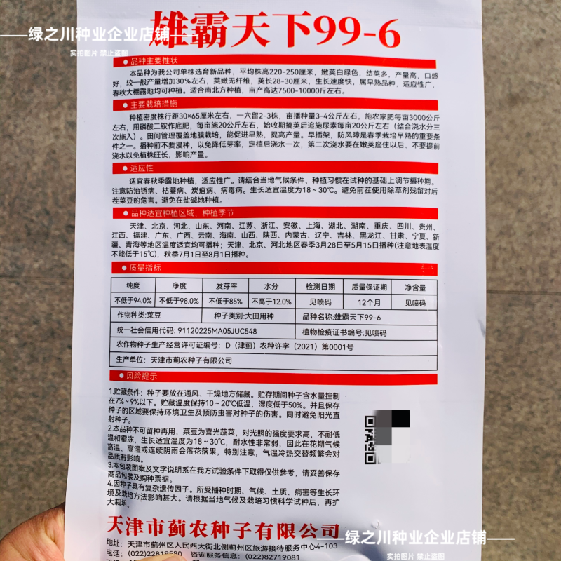 白花四季豆高产早熟菜豆