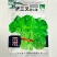 经典三叉空心菜种子春夏秋三季播通心菜种籽高产盆栽蔬菜