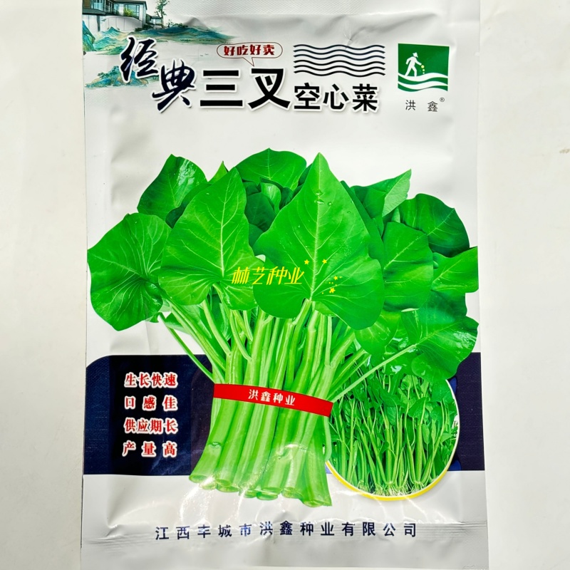 经典三叉空心菜种子春夏秋三季播通心菜种籽高产盆栽蔬菜