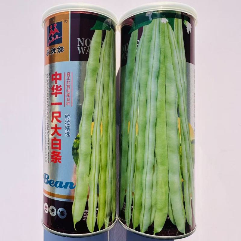 中华一尺白条架豆种子九粒白架豆种子白绿色高产四季豆种子