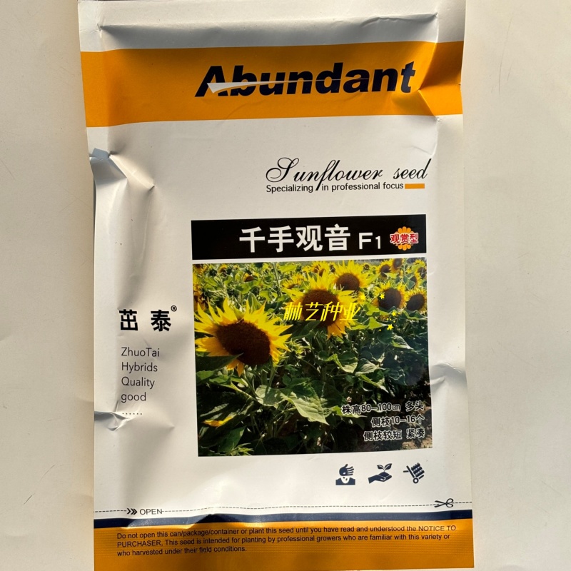 千手观音向日葵种子观赏型食用高产大粒阳台盆栽太阳花