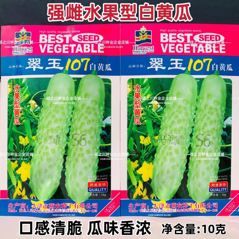翠玉107水果白黄瓜种子强雌奶油绿白皮黄瓜种子清香脆甜