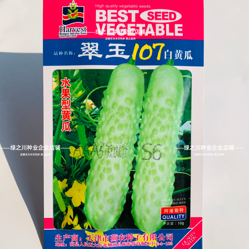 翠玉107水果白黄瓜种子强雌奶油绿白皮黄瓜种子清香脆甜