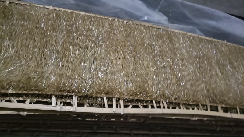 农家自制红薯粉