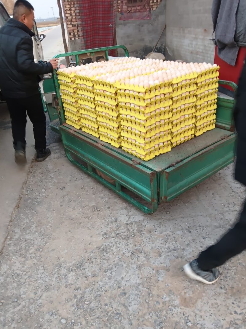 鲜鸡蛋倒筺鸡蛋粉壳品质保证量大从优欢迎联系价格优
