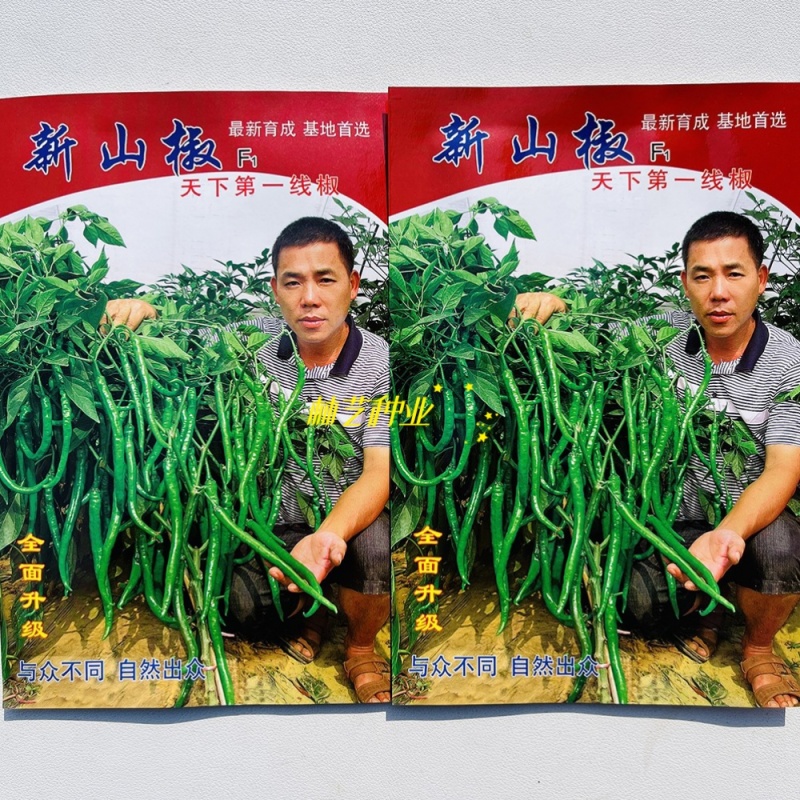 新山椒线椒辣椒种子口感好强辣亮绿早熟高产商品性佳