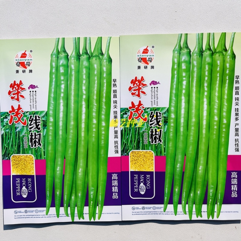 荣茂线椒线椒种子早熟辣椒种籽丰产线椒干鲜两用抗病强座果