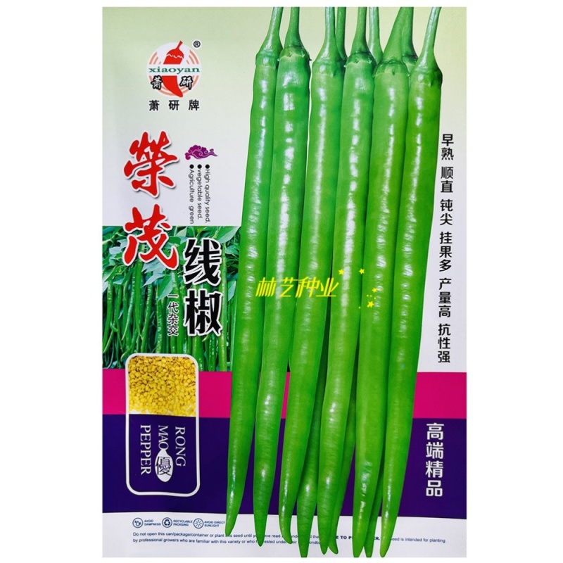 荣茂线椒线椒种子早熟辣椒种籽丰产线椒干鲜两用抗病强座果
