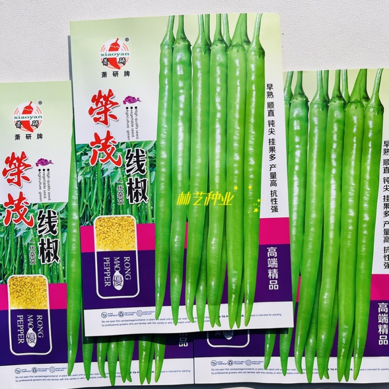 荣茂线椒线椒种子早熟辣椒种籽丰产线椒干鲜两用抗病强座果