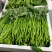 湘菜系（滕蒽）比通心菜鲜嫩的新品。