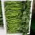 湘菜系（滕蒽）比通心菜鲜嫩的新品。