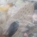 杂款洞洞鞋