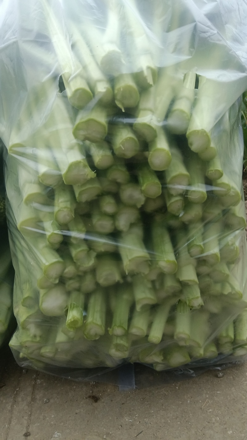 红菜苔