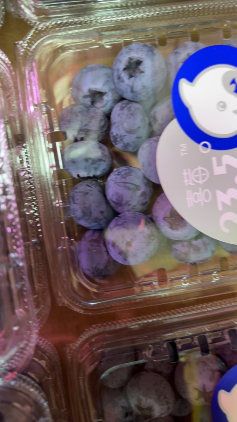 云南本地花香蓝莓18加