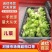 【精品】儿菜大量上市中新鲜一手货源可视频看货量大从优