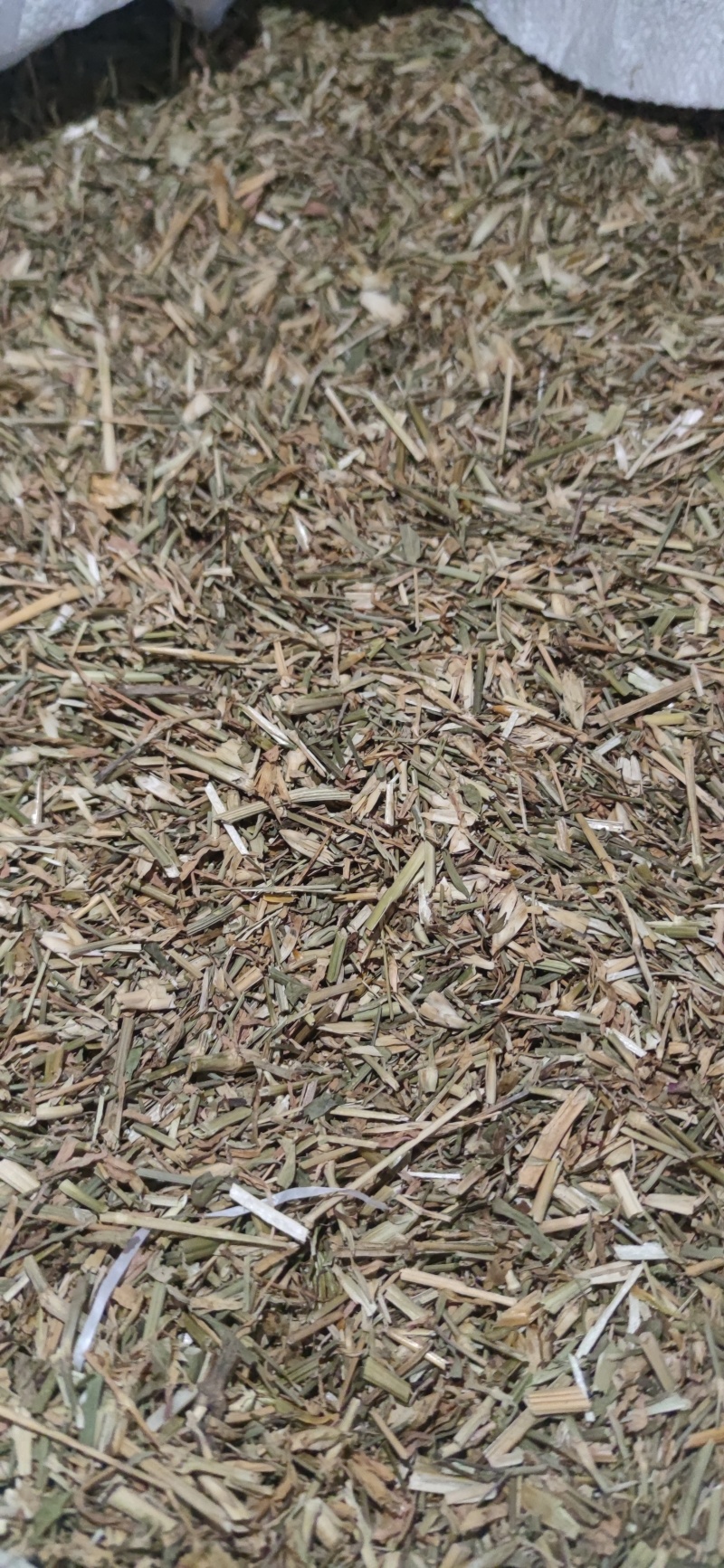 瞿麦中药材批发量大优惠诚信经营