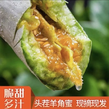 寿光羊角蜜甜瓜原产地直发商超品质一手货源保质质量