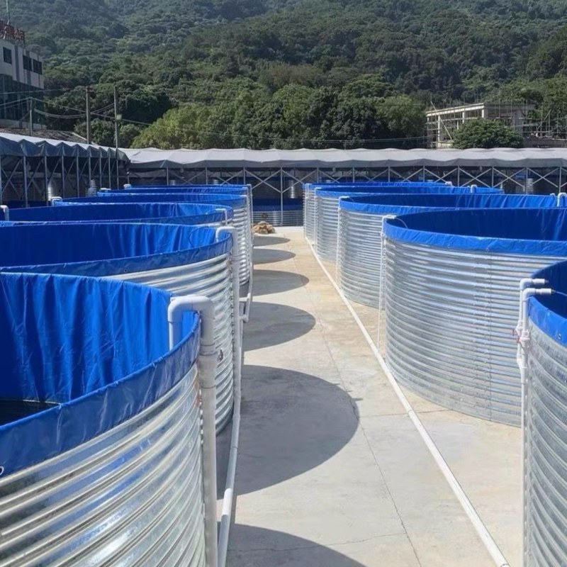 陆基工厂化镀锌板帆布池水产养殖循环水养殖提供技术支持