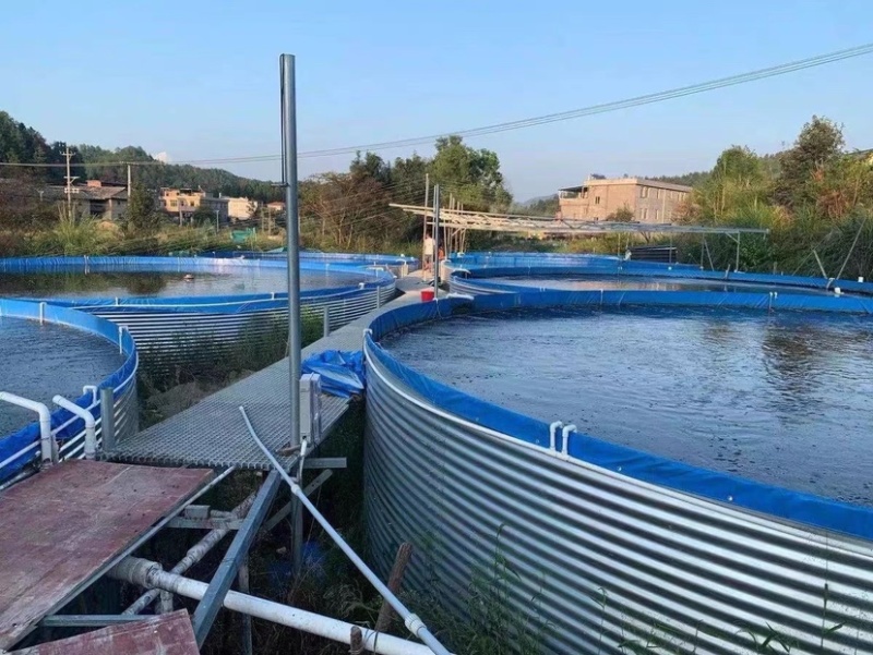 陆基工厂化镀锌板帆布池水产养殖循环水养殖提供技术支持