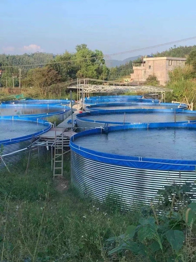 陆基工厂化镀锌板帆布池水产养殖循环水养殖提供技术支持