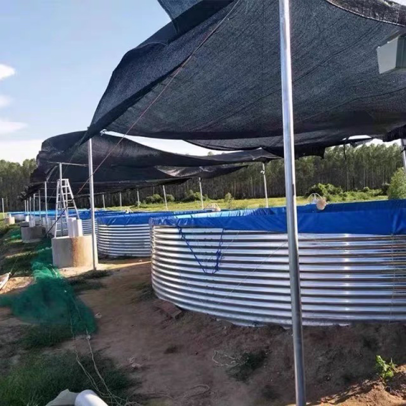 陆基工厂化镀锌板帆布池水产养殖循环水养殖提供技术支持