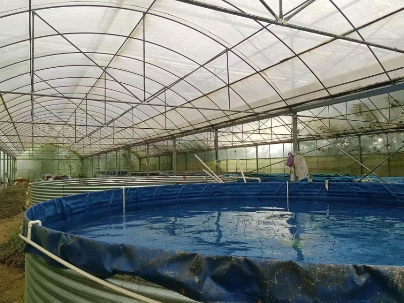 陆基工厂化镀锌板帆布池水产养殖循环水养殖提供技术支持