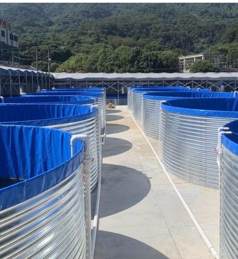 陆基工厂化镀锌板帆布池水产养殖循环水养殖提供技术支持