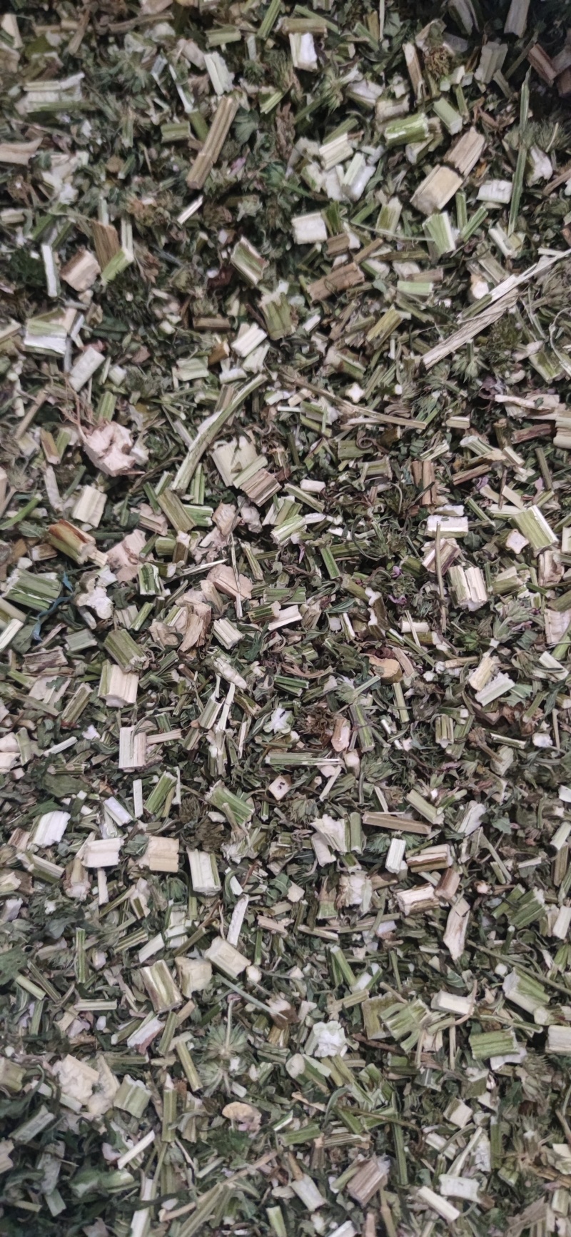 益母草中药材批发量大优惠诚信经营