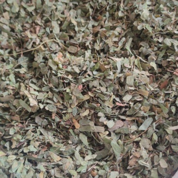 鸡骨草中药材批发量大从优诚信经营