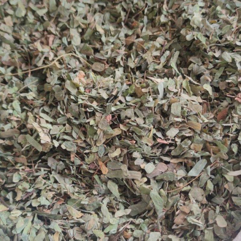 鸡骨草中药材批发量大从优诚信经营