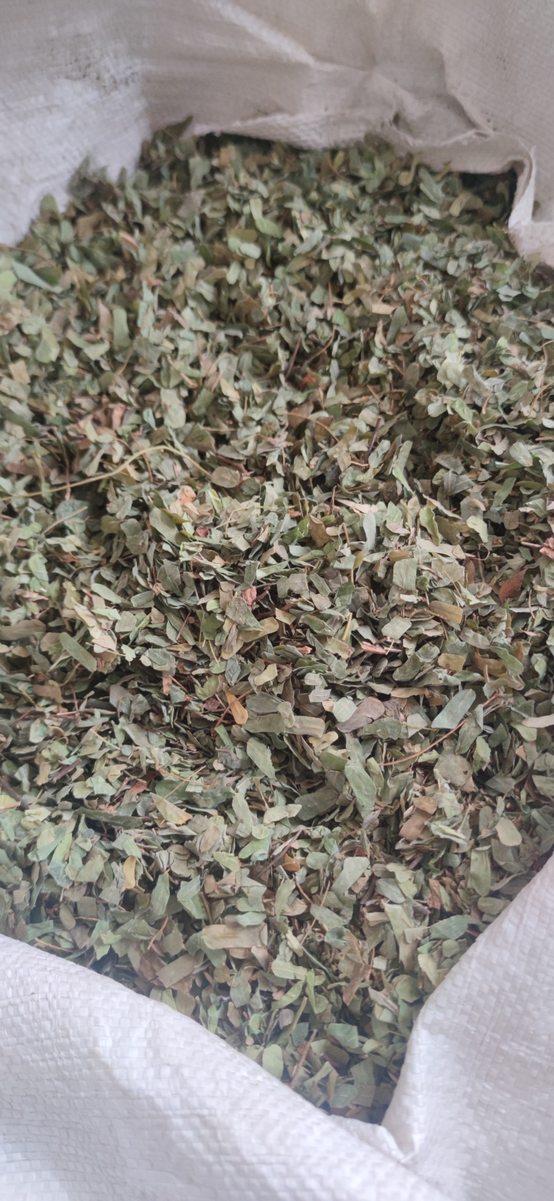 鸡骨草中药材批发量大从优诚信经营