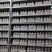 菌棒，赤灵芝菌棒，美芝菌棒，鹿角灵芝菌棒，观赏灵芝菌棒