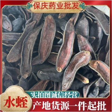 水蛭大个无矾清水水蛭足干蚂蟥宽体金线水蛭干货蚂蟥干
