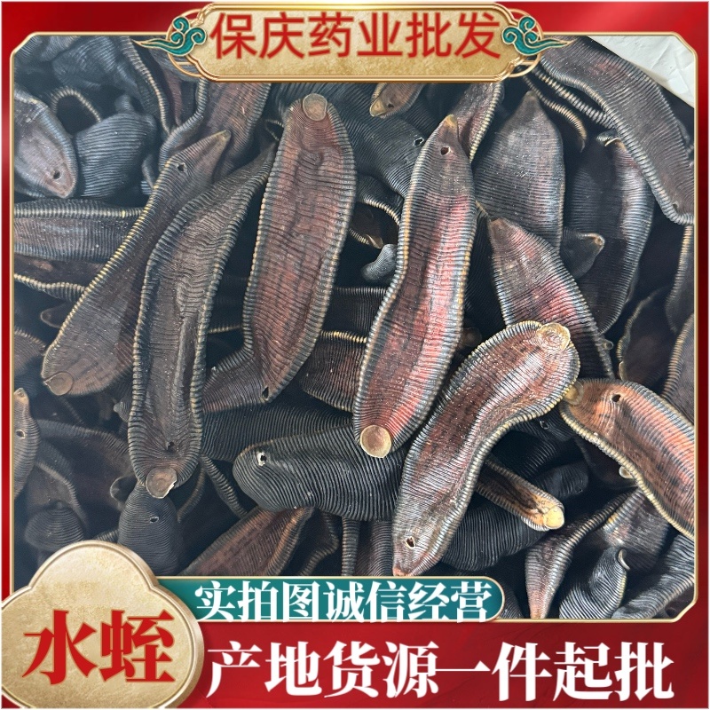 水蛭大个无矾清水水蛭足干蚂蟥宽体金线水蛭干货蚂蟥干
