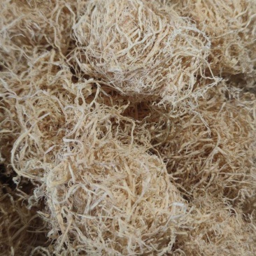 竹茹竹茹球竹茹丝量大优惠诚信经营中药材批发