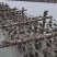 湛江北潭生蚝自家蚝场全国发货