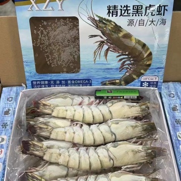 黑虎虾，价格便宜，货源充足，规格齐全，欢迎选购咨询