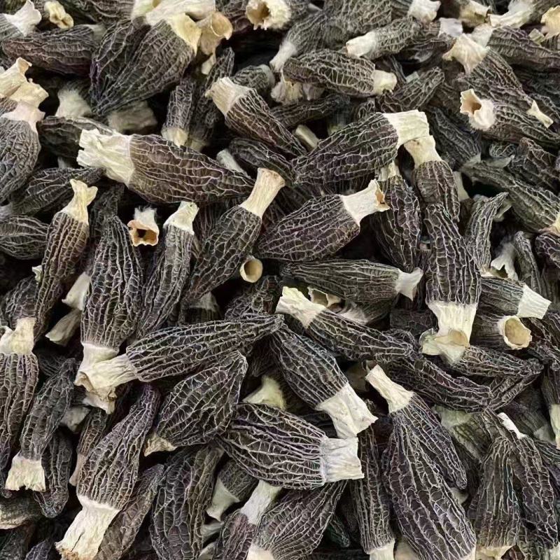 羊肚菌云南羊肚菌，