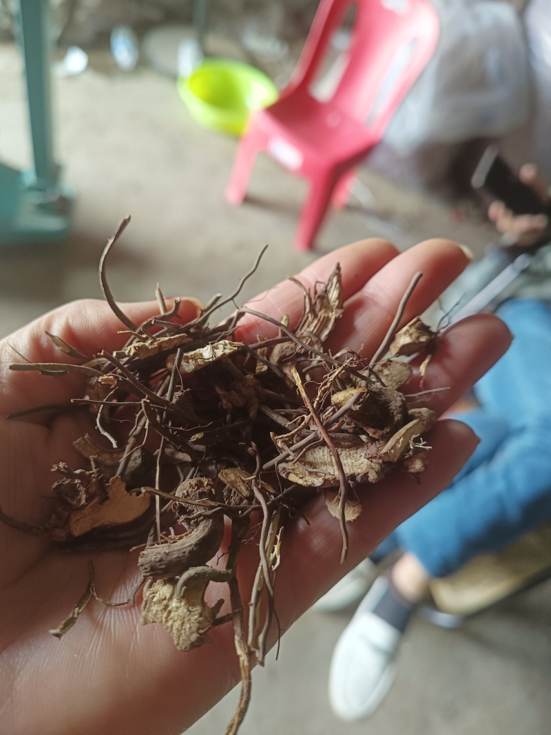 威灵仙野生批发一手货源