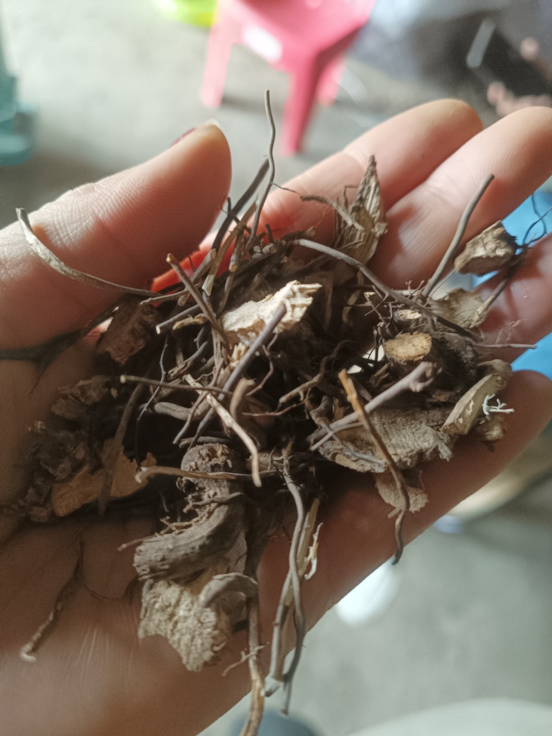 威灵仙野生批发一手货源