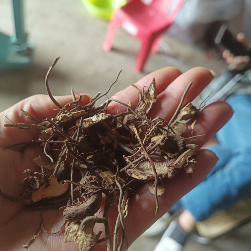 威灵仙野生批发一手货源