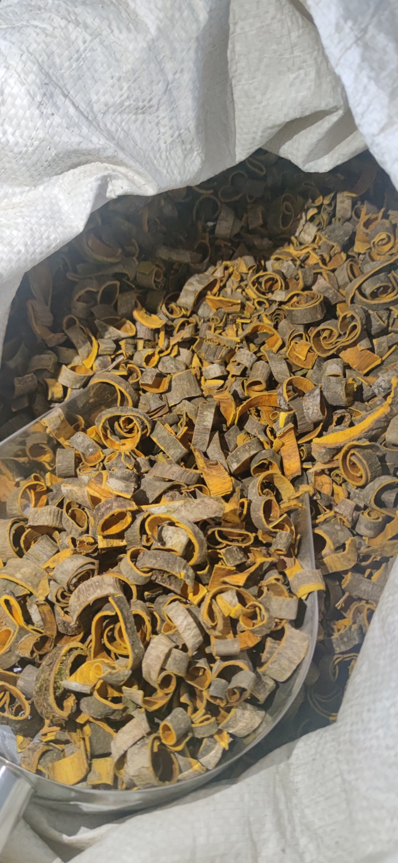 黄柏