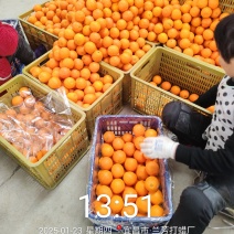 湖北宜昌精品塔罗科血橙，大量供应，水分充足，果肉细腻，