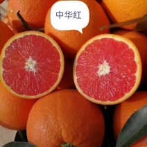 湖北秭归县中华红（血）橙，个头均匀，皮薄多汁，纯甜口感