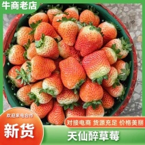 【人气旺】自家种植天仙醉草莓按需要分拣大小规格纸箱泡沫箱