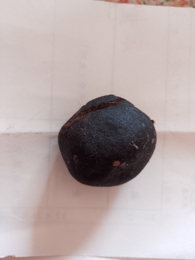 杀羊杀出来的羊宝