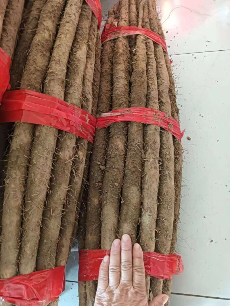 河北铁棍山药产地发货一手货源批发品质保证价格优惠全国发货