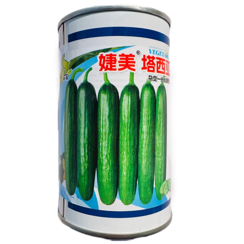婕美塔西亚小黄瓜种子光滑无刺节节有瓜荷兰水果黄瓜种子春秋